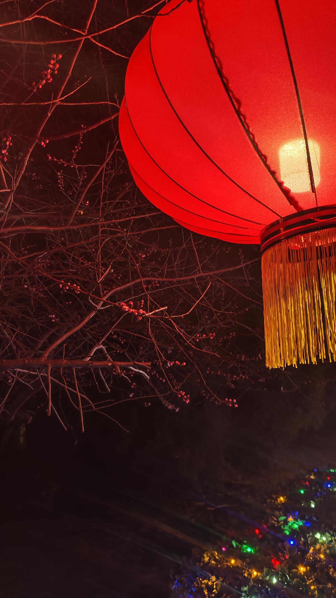 1. 一份极高级的“安全感”
善良是你行走江湖最稳的底牌。你懂投资，自然也知道，