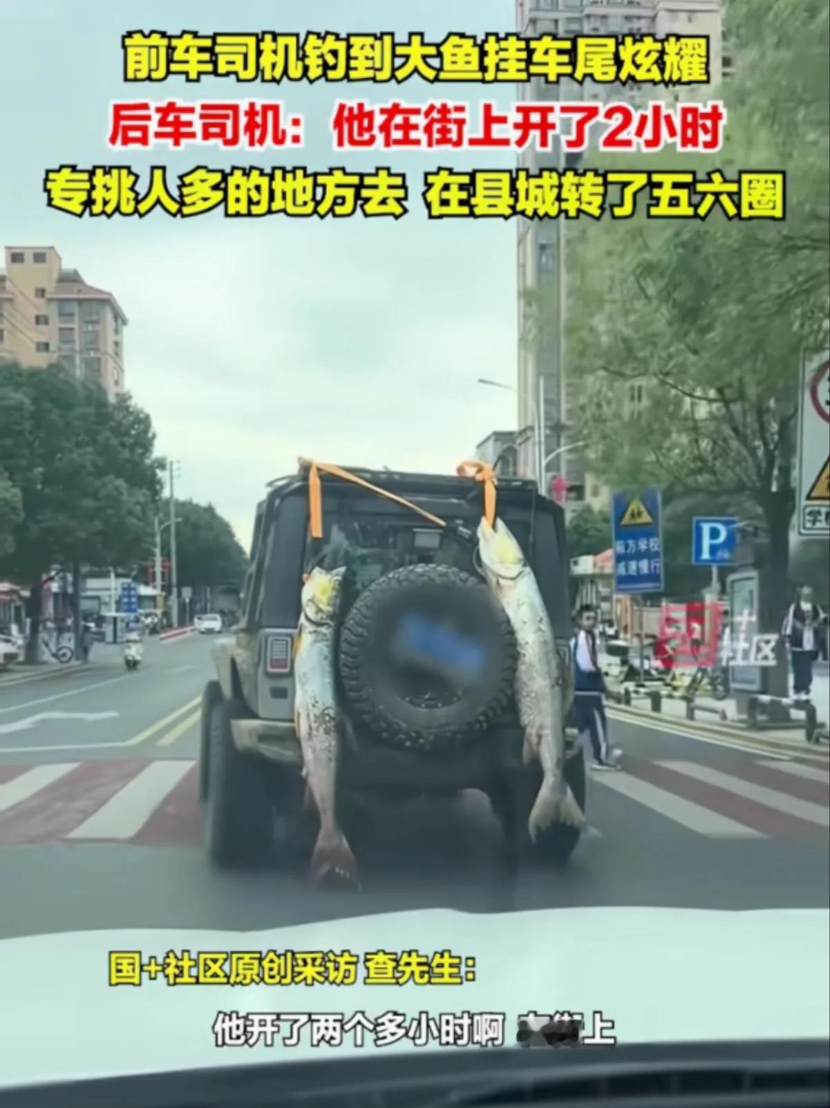 钓到二条超级大鱼，小县城转悠2个多小时

在一个热闹的小县城，一辆汽车后备箱外面