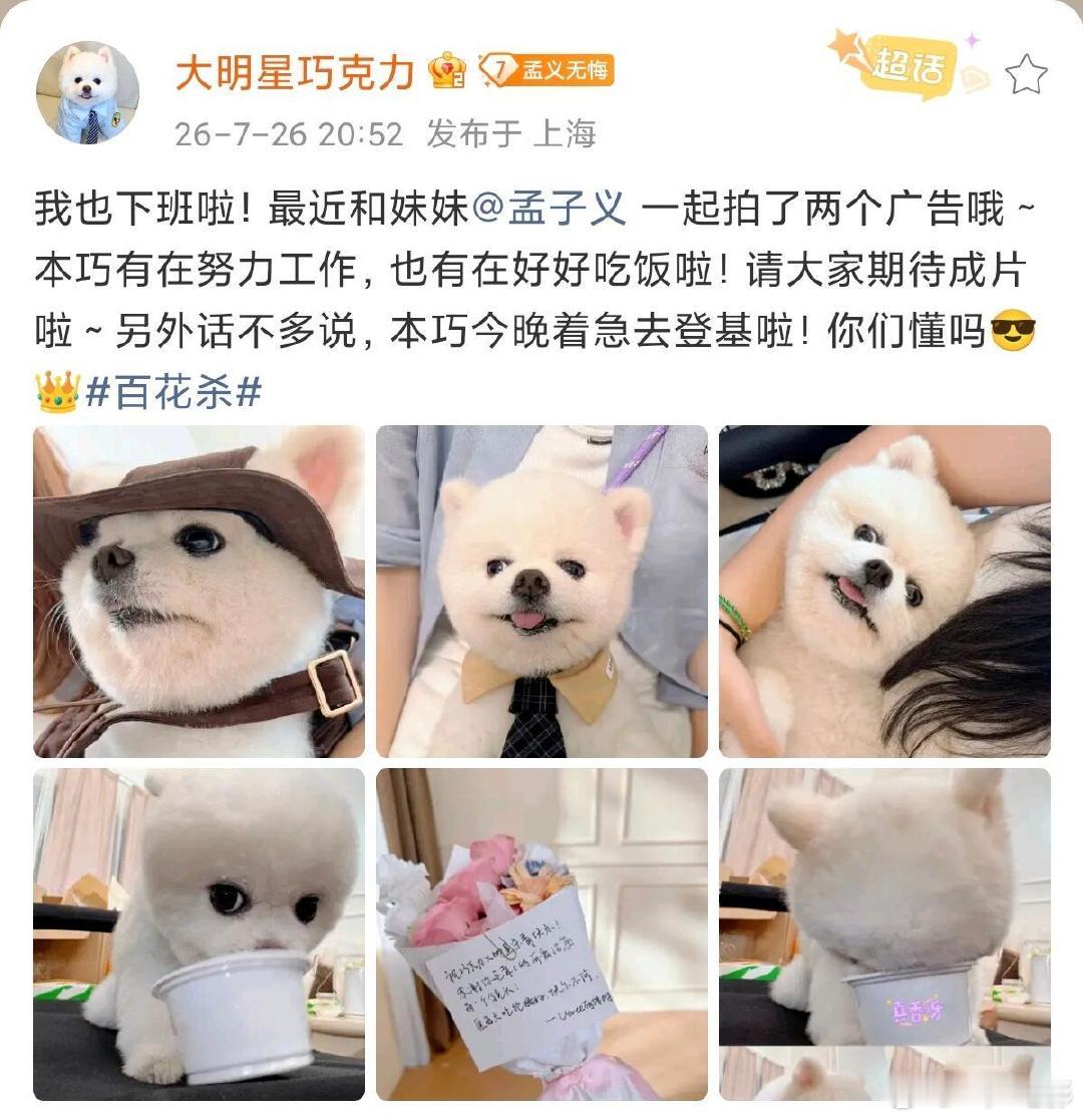 孟子义和巧克力一起拍了两个广告孟子义带狗一起拍了两个广告 孟子义还有五部待播作品