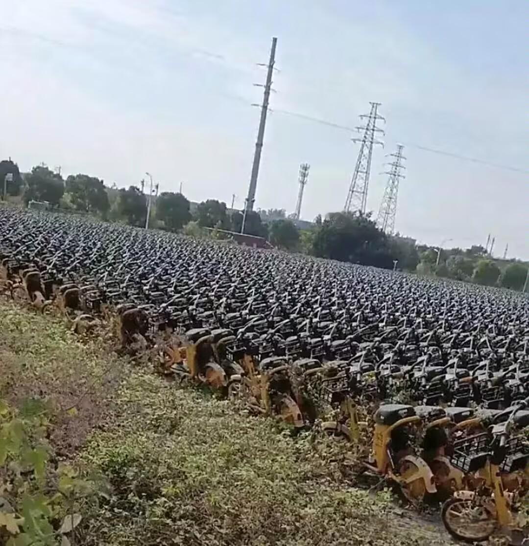 小黄车OFO破产后，好多小黄车就堆在路边、停车场里，风吹日晒全锈透了，好好的车子