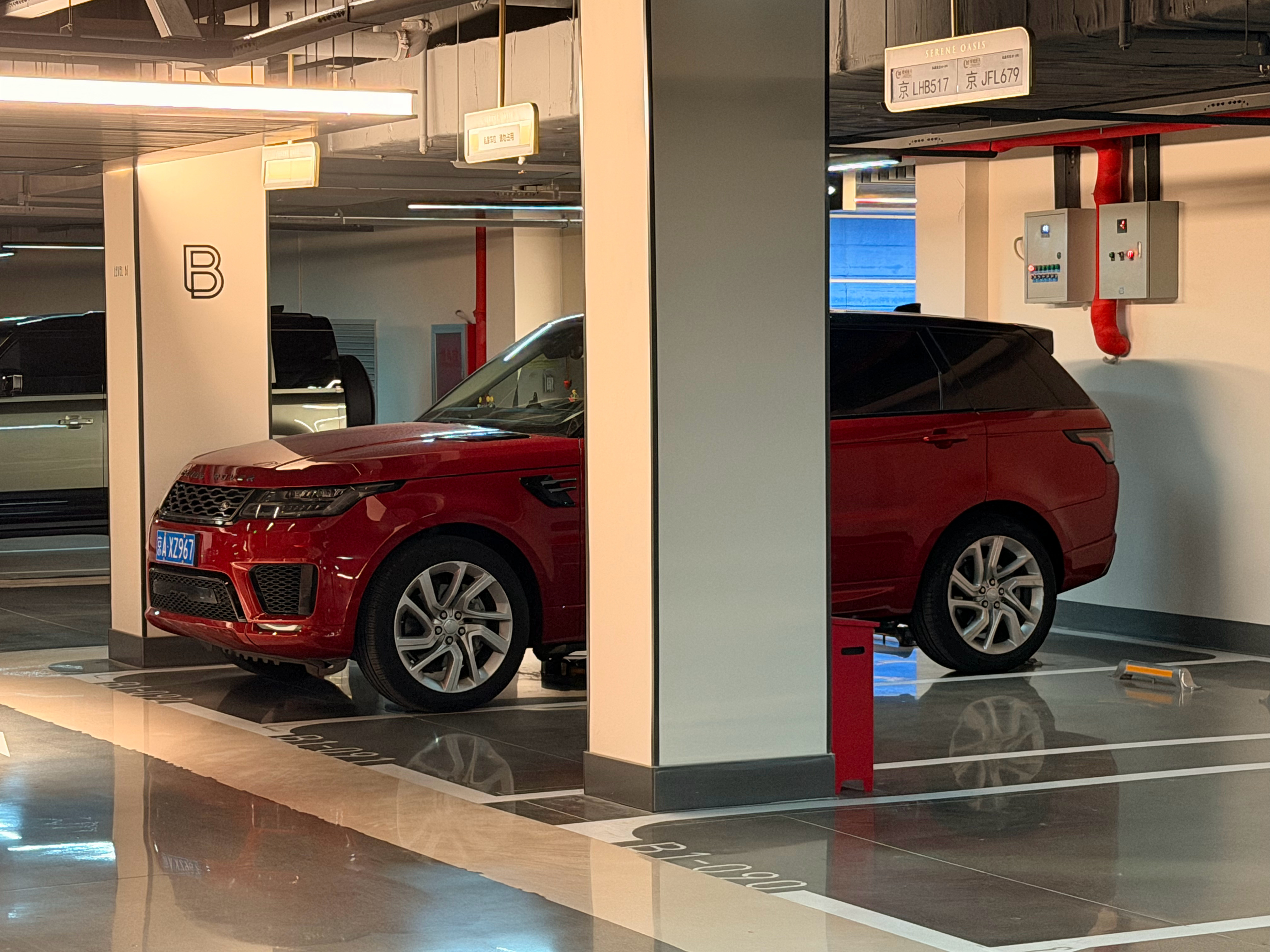 突然发现地库的含虎量很高，保安看到虎子没登记车牌都给放行 