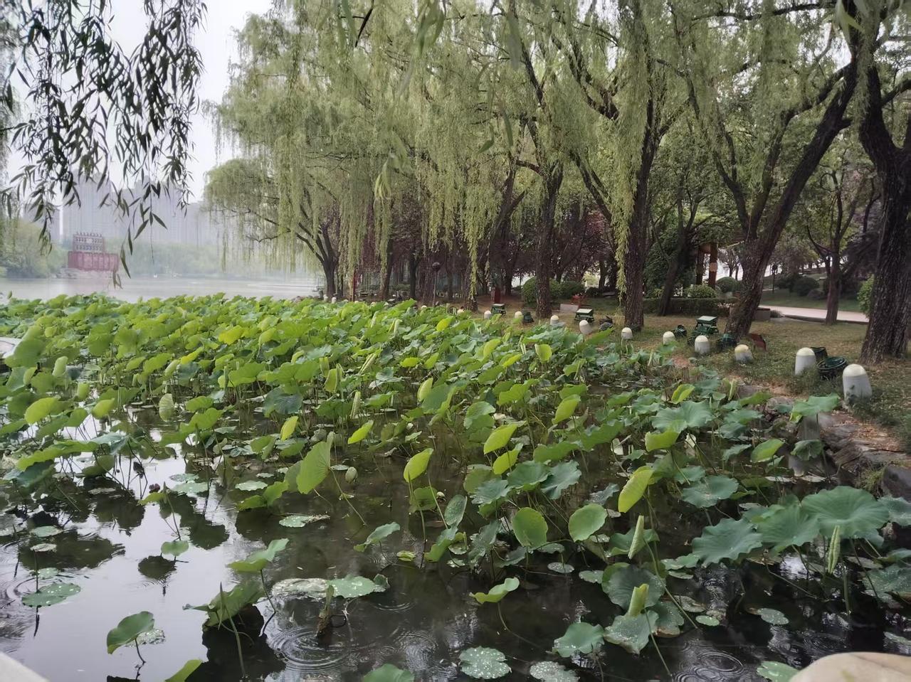 美以集结部队在伊朗门口的时候:

哈梅内伊:      我该上哪里躲躲？

阿萨