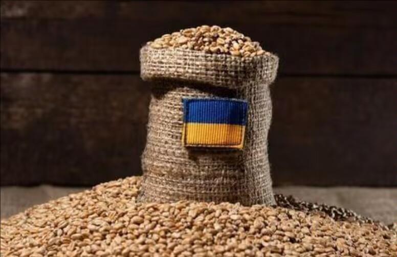 乌克兰经济部称，乌克兰农民收获了2350万吨玉米；向日葵产量为900万吨，超过了