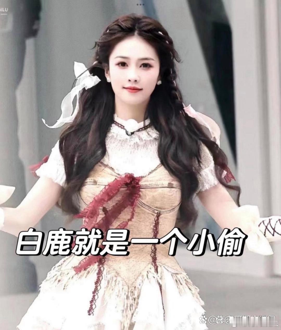 白鹿就是一个小偷 