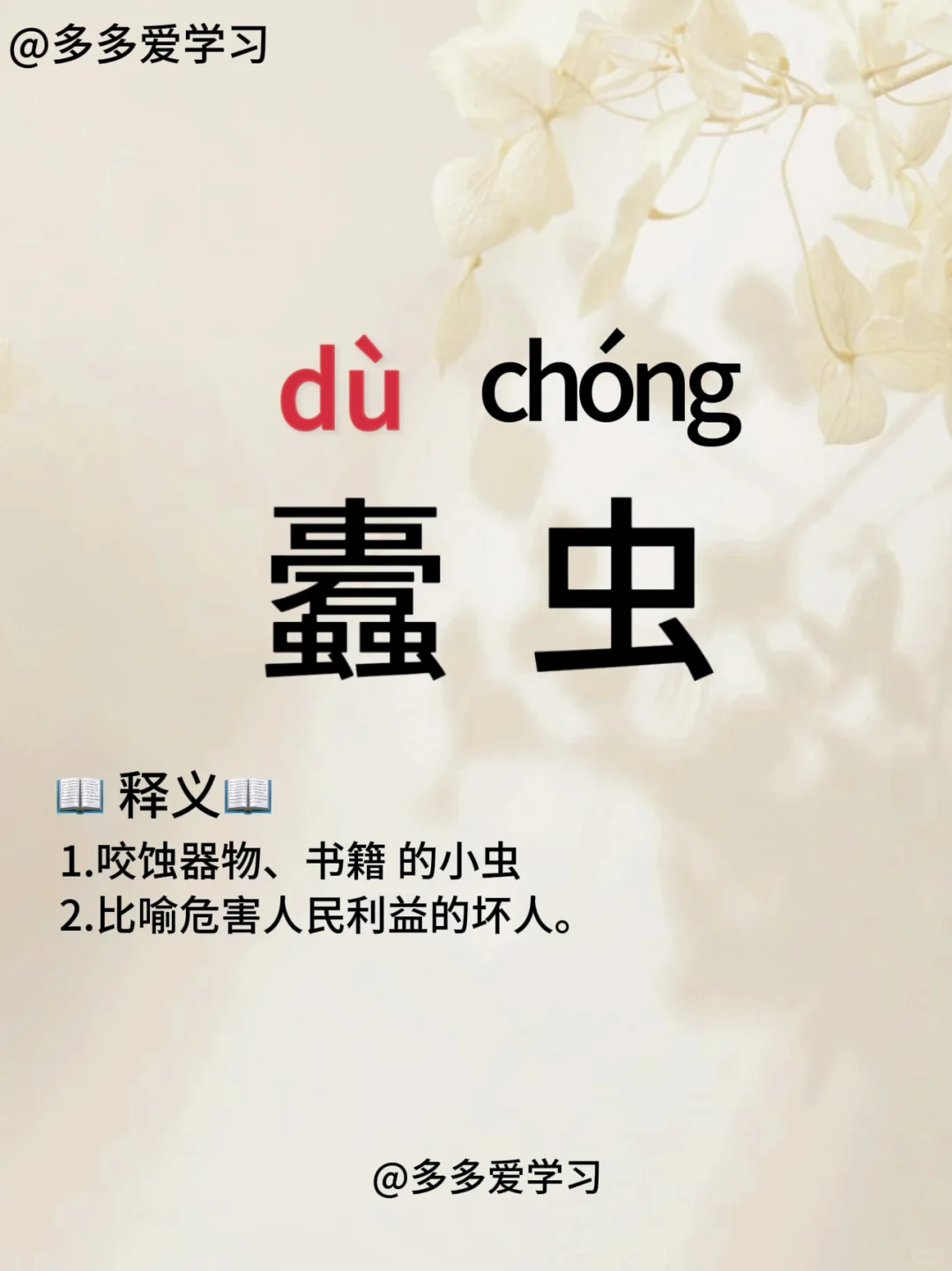 蠹虫——你读对正确读音了吗 🍇蠹虫 🍇解释：1.咬蚀器物、书籍 的...
