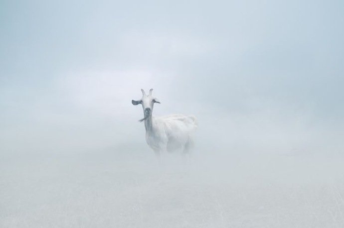 人生最大的乐趣，在于“答案没有正式揭晓”前，什么都是可能的。——蔡康永
