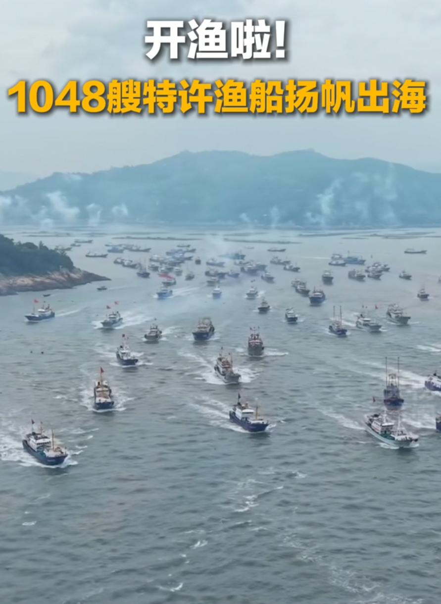 千船齐发！福建福鼎开渔，千艘渔船冲向东海，海鲜快要上岸了。盼了好久，开渔终于来了