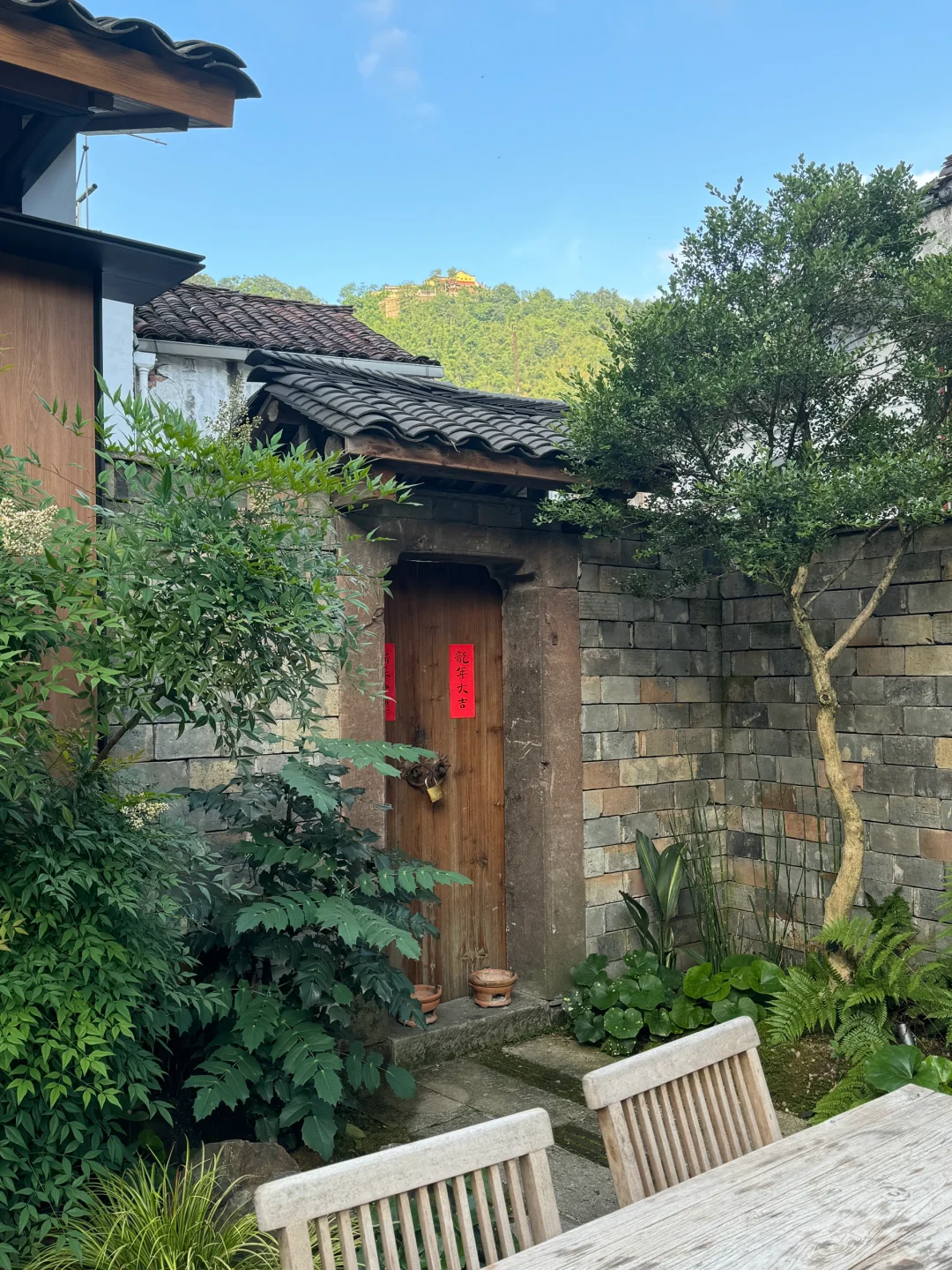 欢迎光临我的退休小院｜山居慢生活