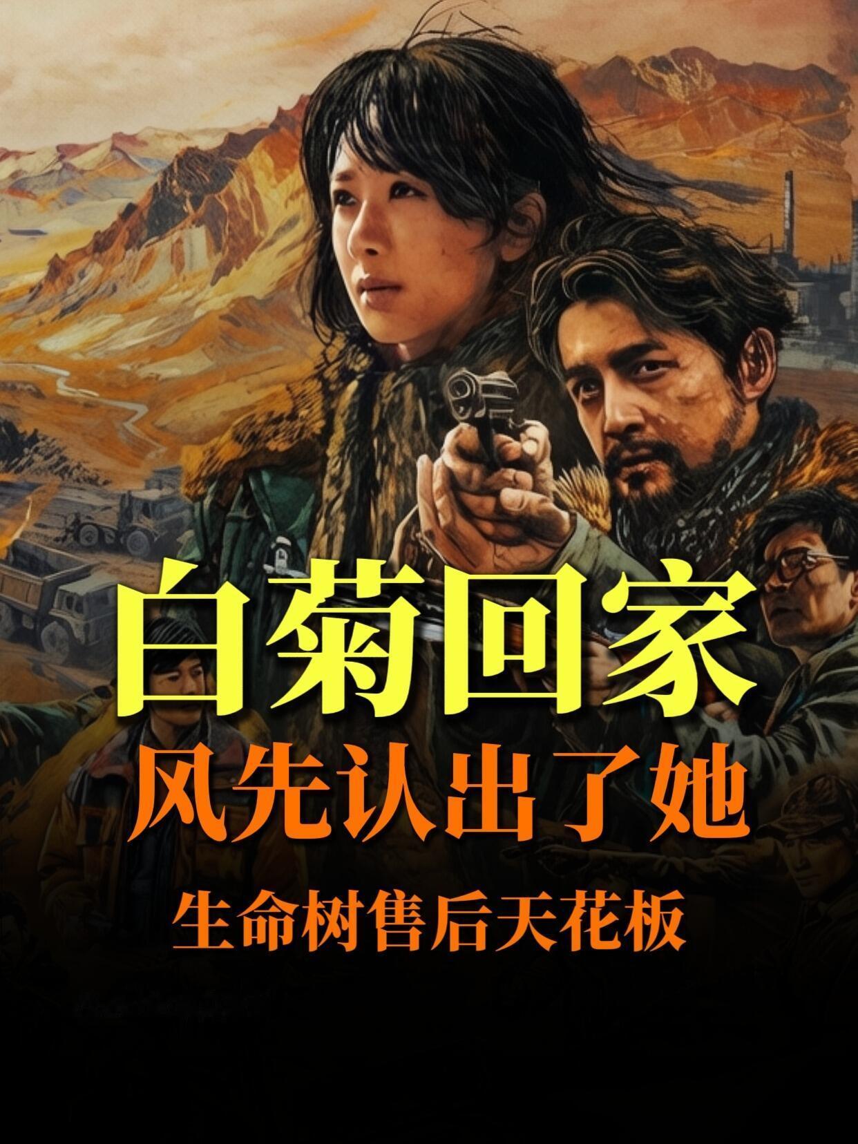 白菊回家，风先认出了她。 
