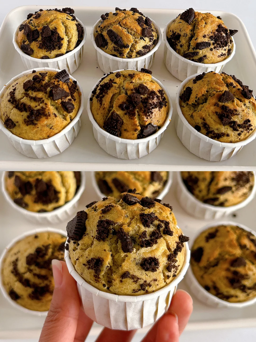 免打发‼️奥利奥马芬蛋糕‼️请锁死这个配方