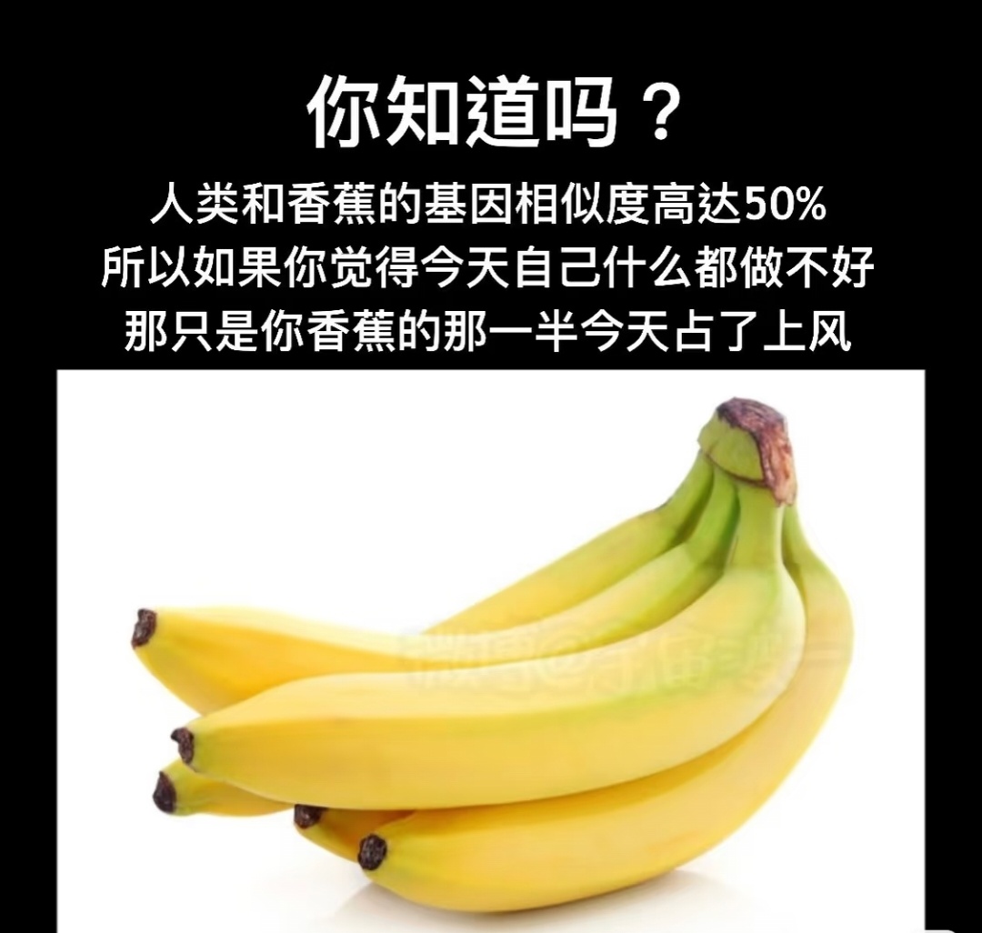 6435不要怪罪香蕉 