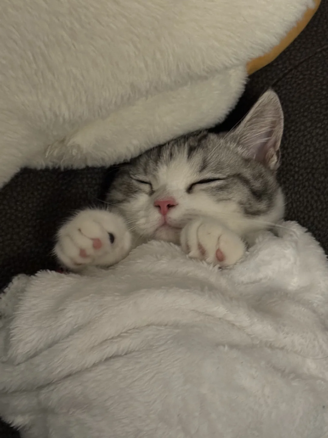 太阳都晒屁屁啦！