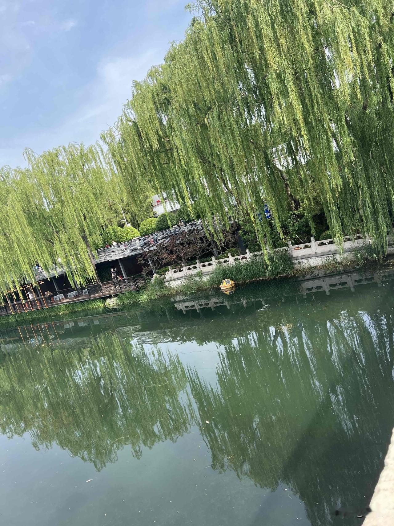 今天路过北二环护城河，被眼前的美景狠狠拿捏了！垂柳在河面投下对称的倒影，就像一对