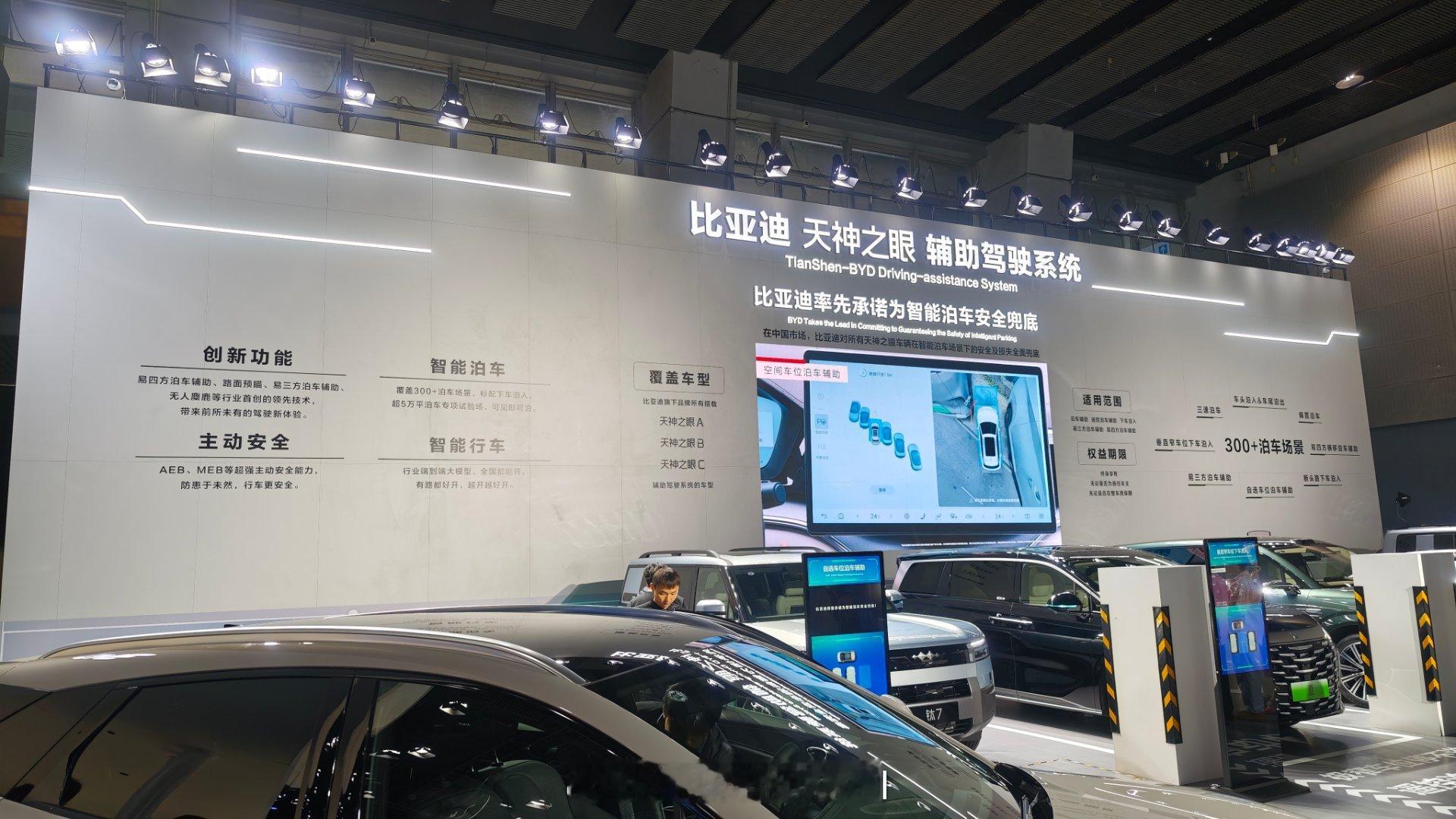 对天神之眼不了解？来比亚迪展台吧，很详细 