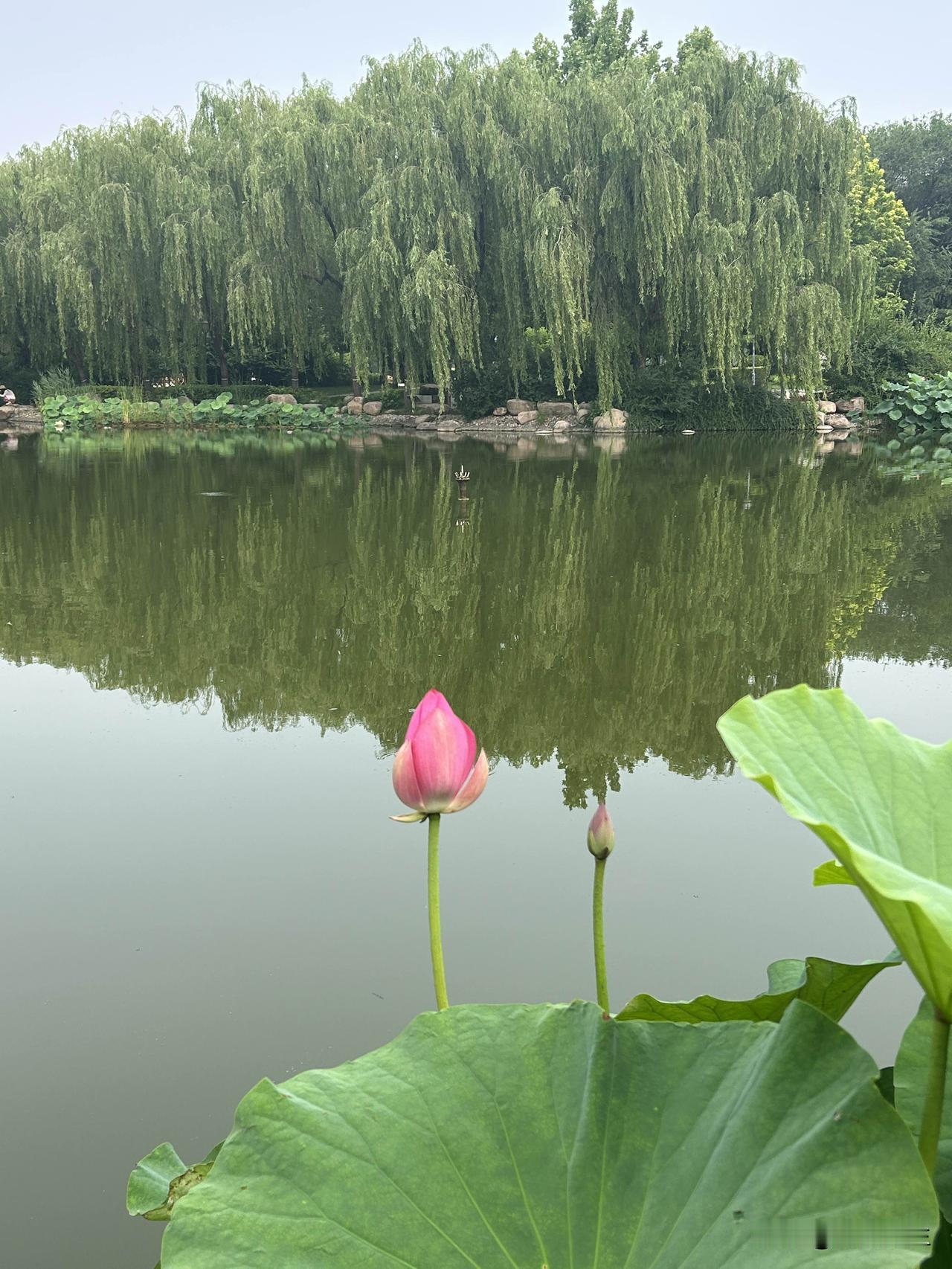 早上出门就带了电脑，想着下午小闺女四点放学，我也懒得再来回跑了。

送她到学校后