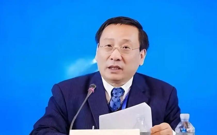 高志凯教授直接掀桌了，他曾直言道：非洲的白嫖时代必须结束！中国的援助不是义务！别