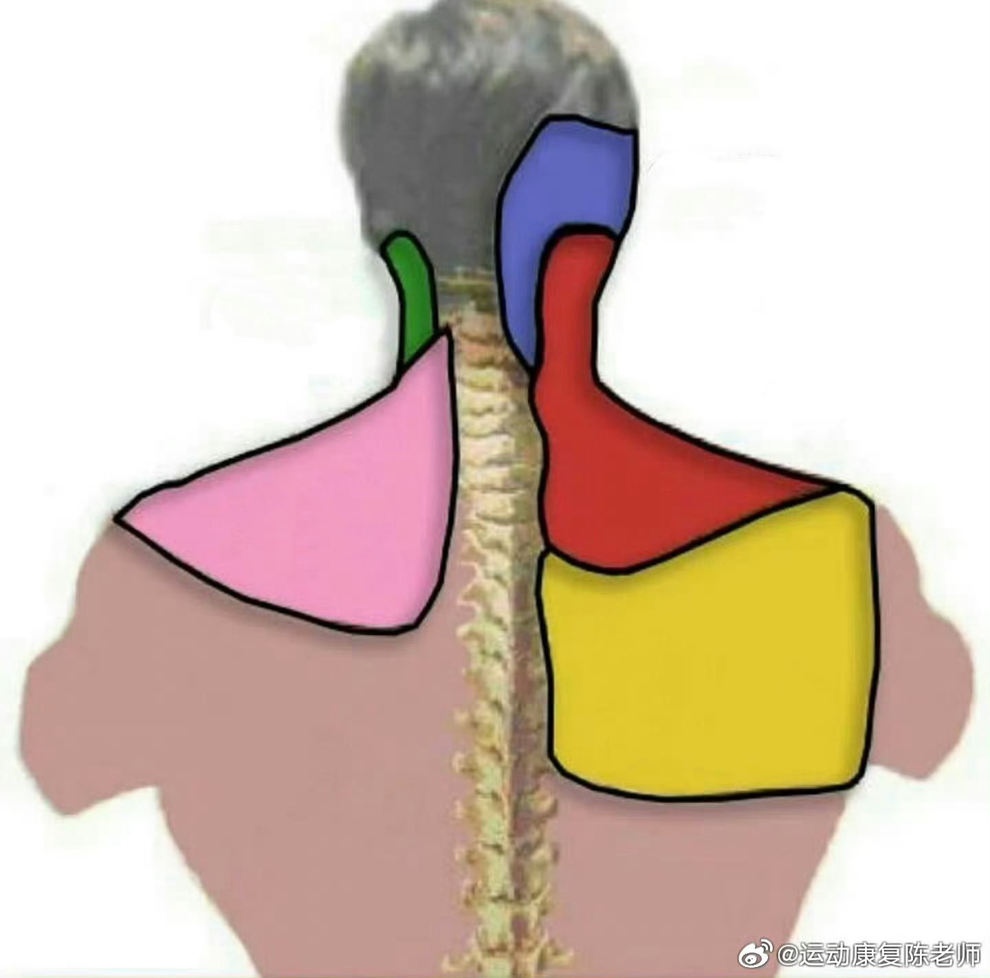 肩颈酸痛 节后计划讲一期关于「肩颈疼痛损伤盘点」的视频，先来问问你们，经常出现肩