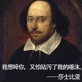 狼爱看娱乐