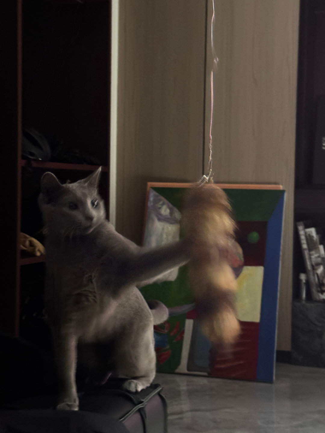 后面的帽子和画，盲猜这是磊磊家[思考]娜塔莎女王这身形体态真的完全随她爸啊，太好