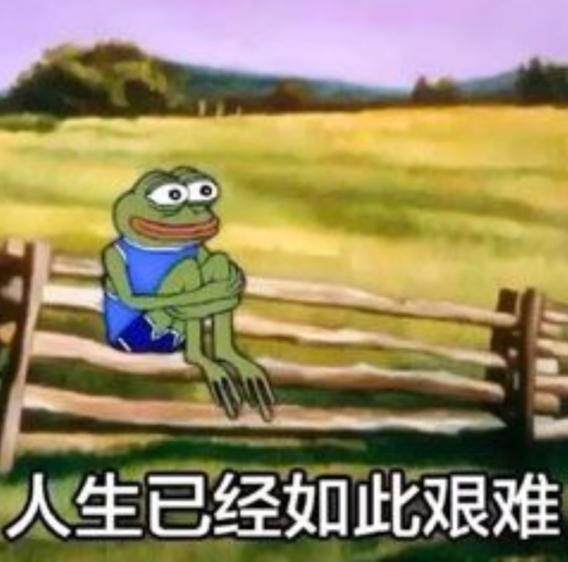 因为是气枪，没有火药，子弹速度也不高，所以打出去的时候不会有什么太大的声音，听不