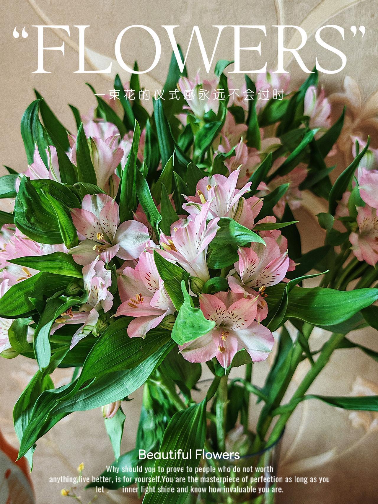  所向披靡，万事胜意，做自己的英雄