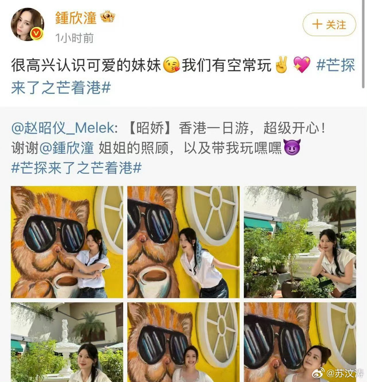 阿娇赵昭仪怎么认识的 《芒着港》成最强红娘！赵昭仪阿娇从陌生到同游香港，东北方言