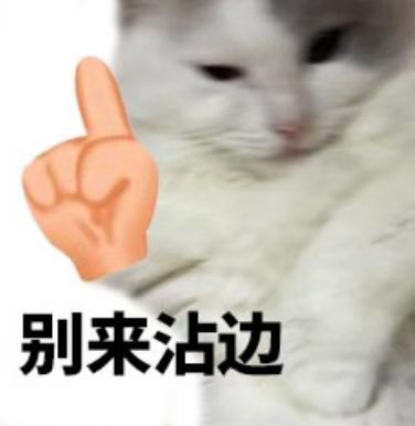 鸿星尔克店内收留流浪猫狗店内？那以后这家店可不能进了，毕竟流浪狗会乱咬人