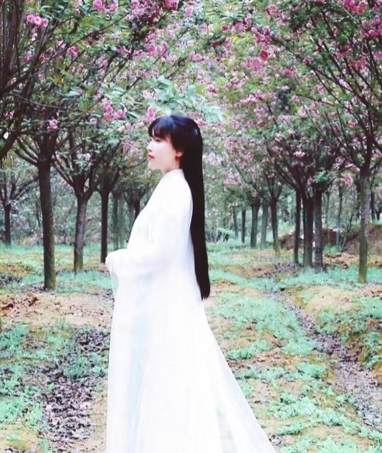 李子柒将二登春晚感觉李子柒就是很优秀的人这么长时间归来影响力仍然很大 