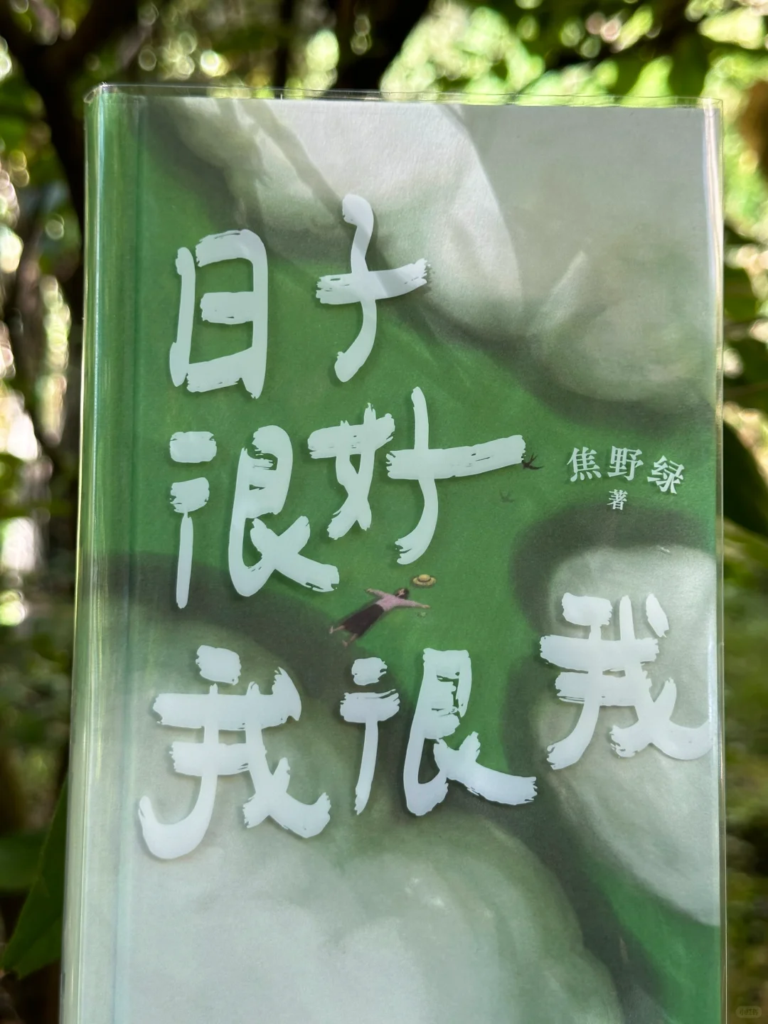 一眼沦陷！！💚怎么会有这么治愈的书啊～