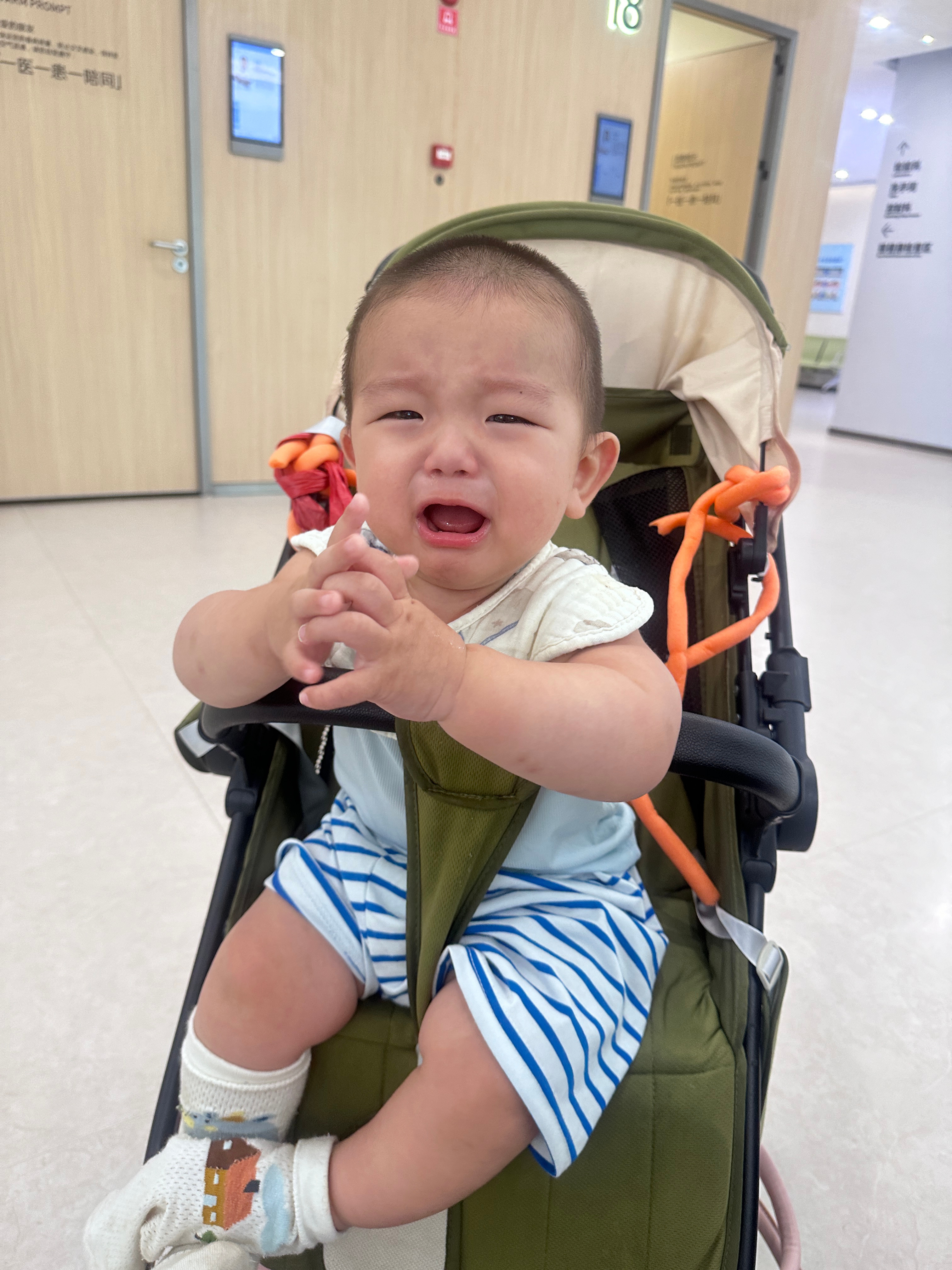 真想一天发八百张 