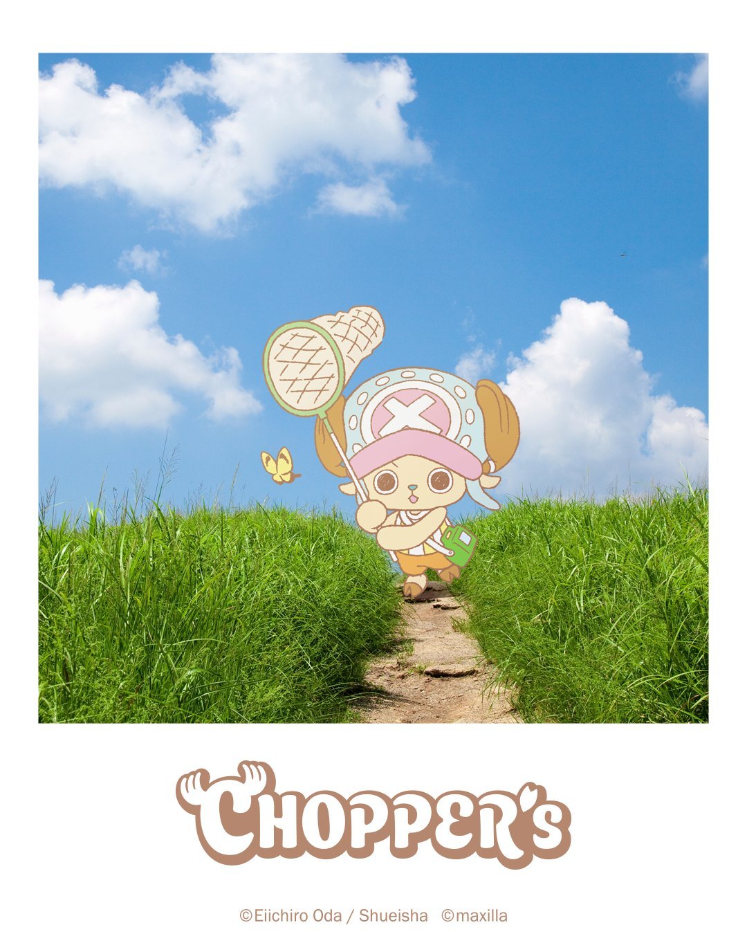 海贼王 【本田快讯】         「CHOPPER’s」乔巴在现代世界的生活