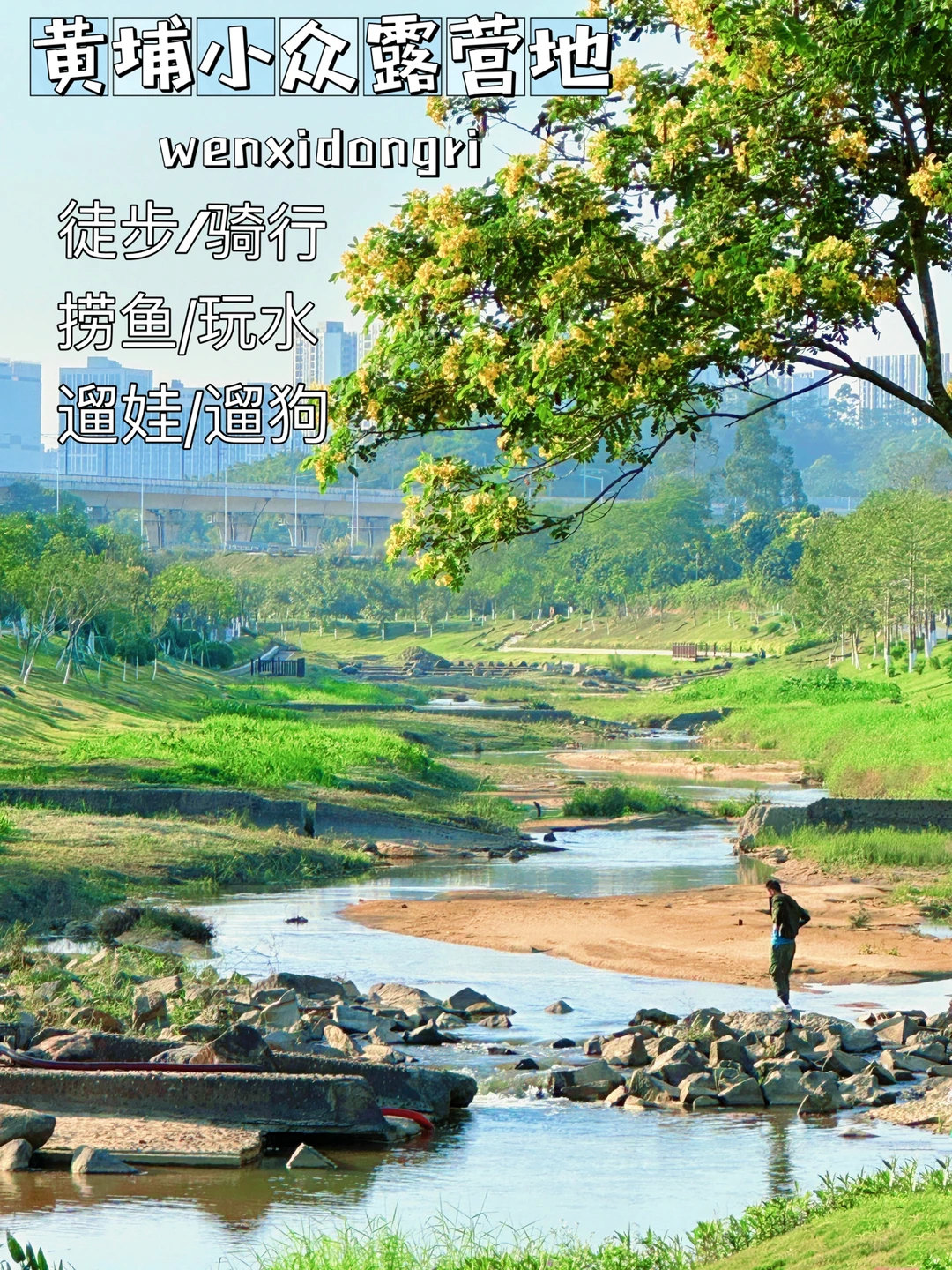 小众免费遛娃地 | 大草坪露营骑行玩沙捞鱼