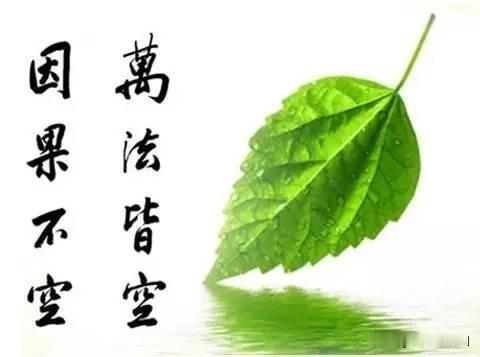 有权有钱人警示句
嫖是一场空，赌是无底洞
跳舞出情人，借钱出仇人
父无能儿受罪，