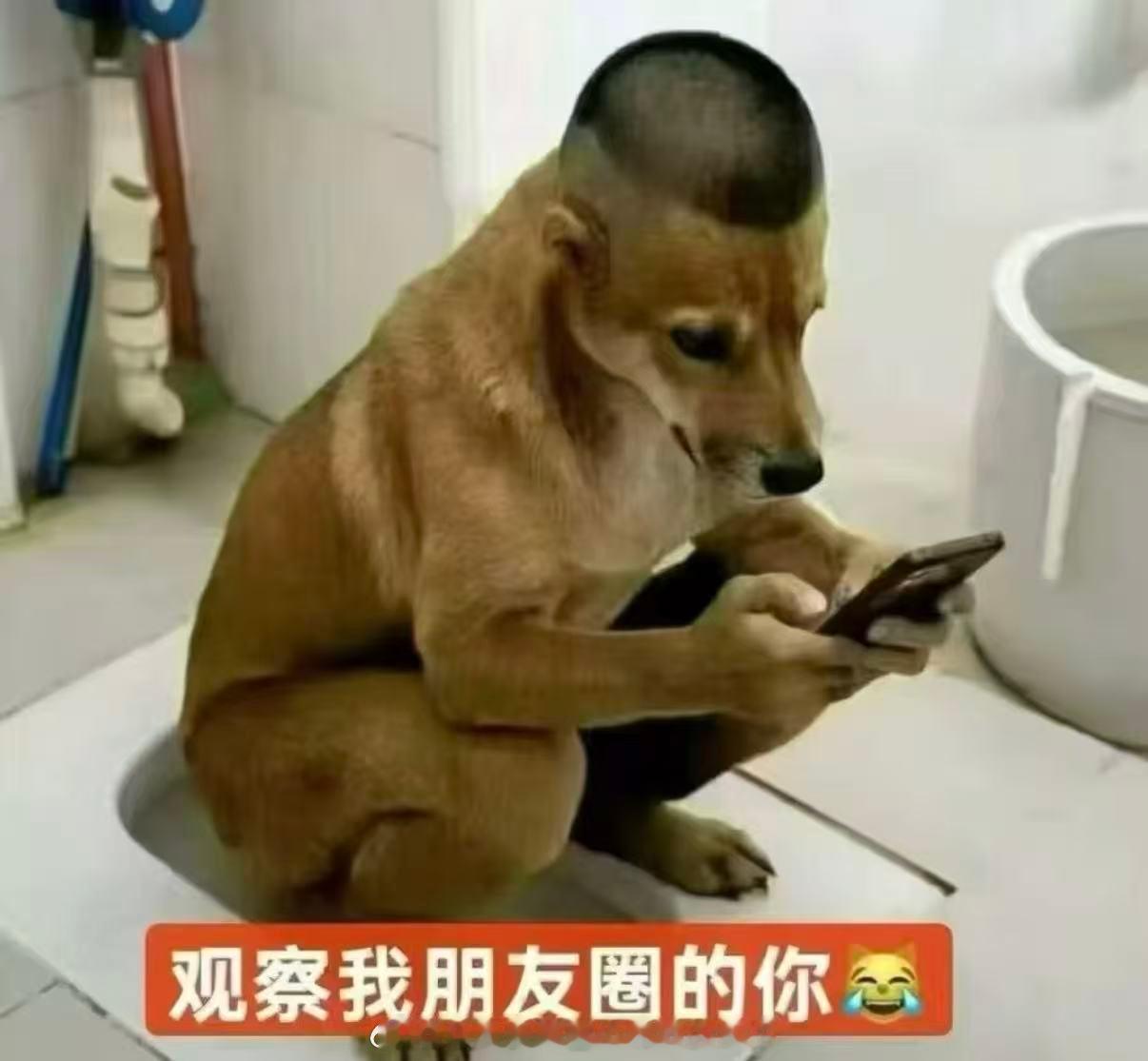 分享图片 ​​​