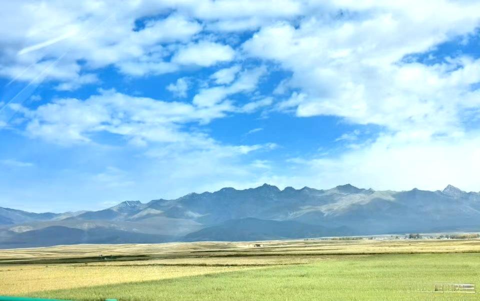 祁连山脚下，像Windows桌面一样的风景。
如果是春夏过来，大草原应该还是绿油