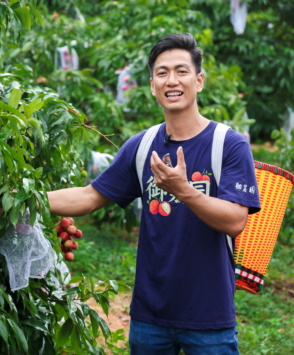 珠海荔枝鲜到西安人还没登机珠海荔枝先坐上头等舱斗门南门村与菉猗堂沉淀八百载岁月底