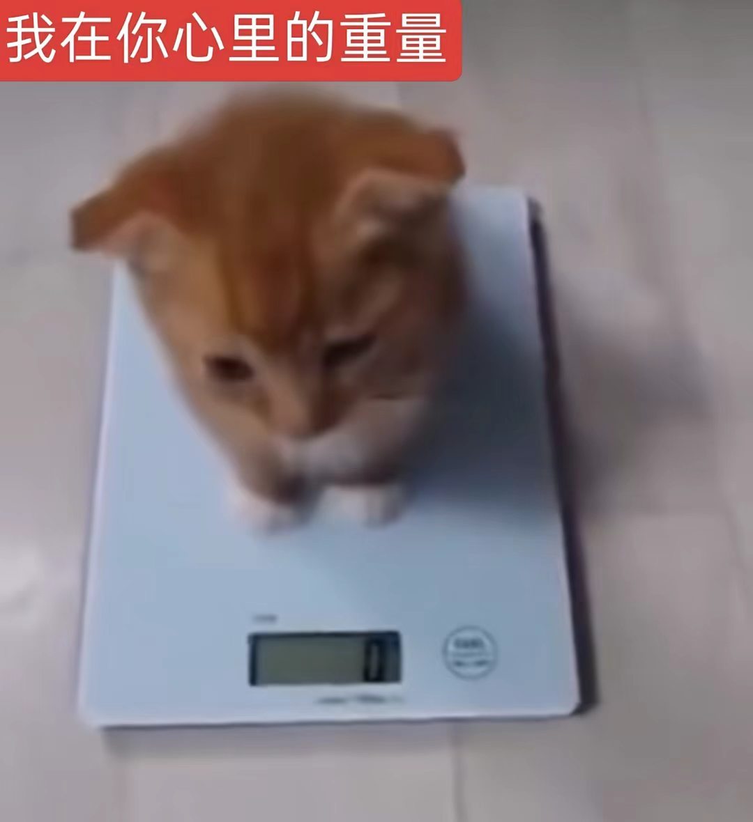 俺 