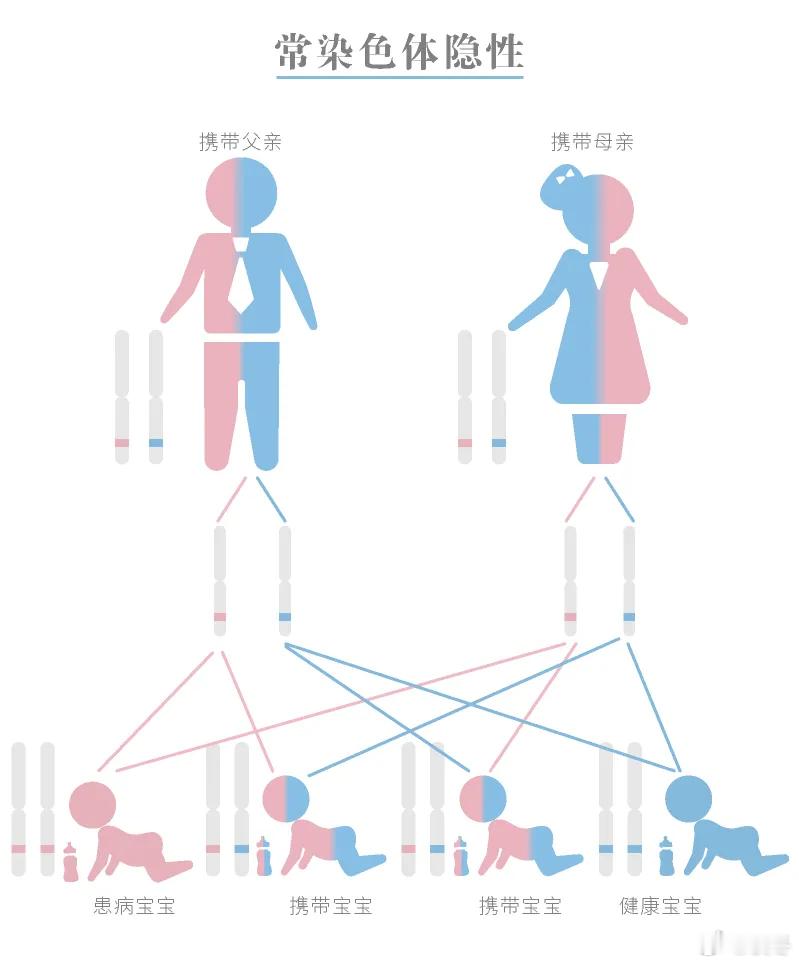 我的寿命与外婆和奶奶有关隔代遗传真的存在吗？那些藏在岁月里的家族印记，原来外婆和