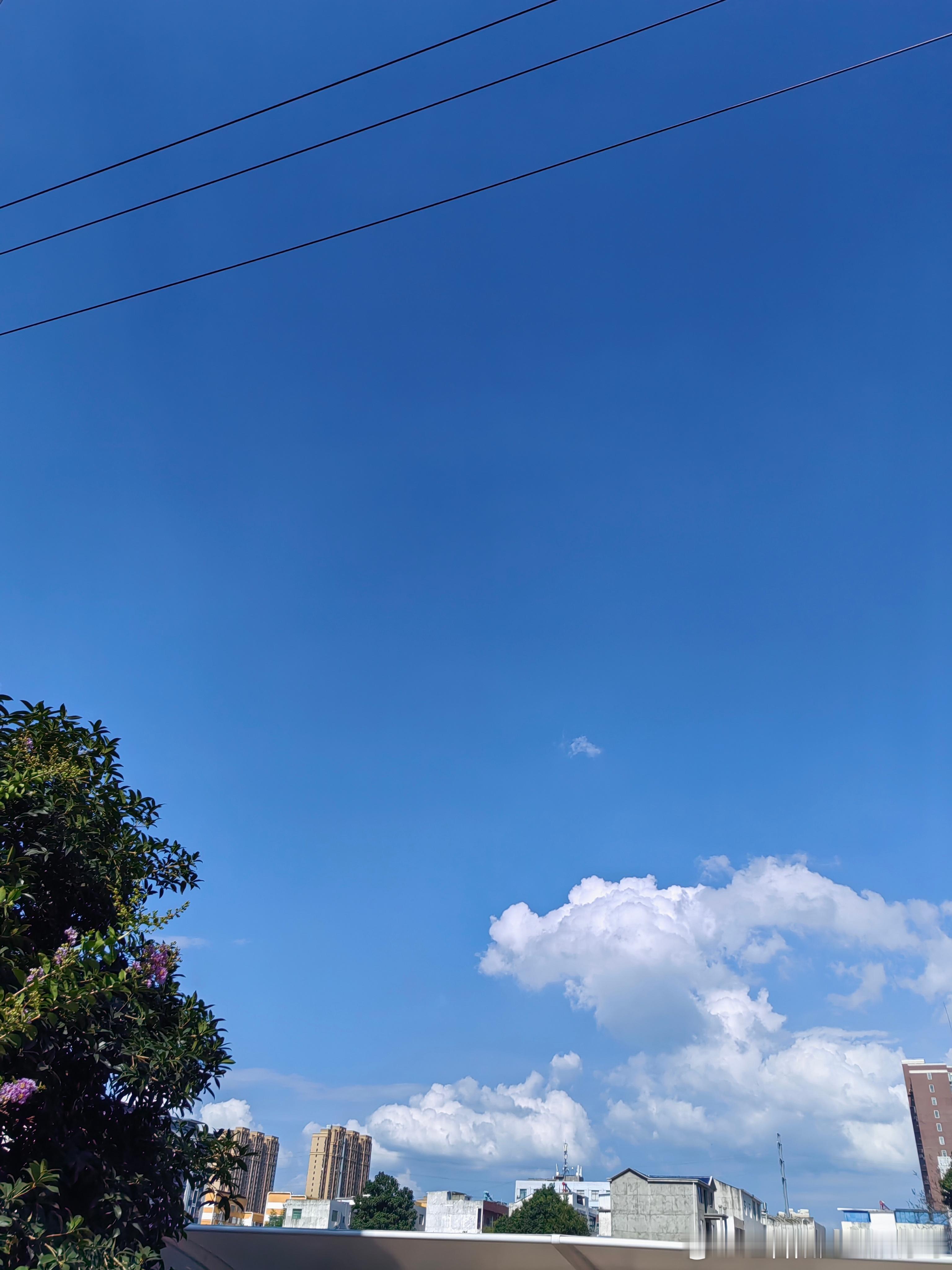 老人夏天开电热毯热射病进ICU今年77岁的王阿姨因髋关节问题在骨科就诊后，医生建