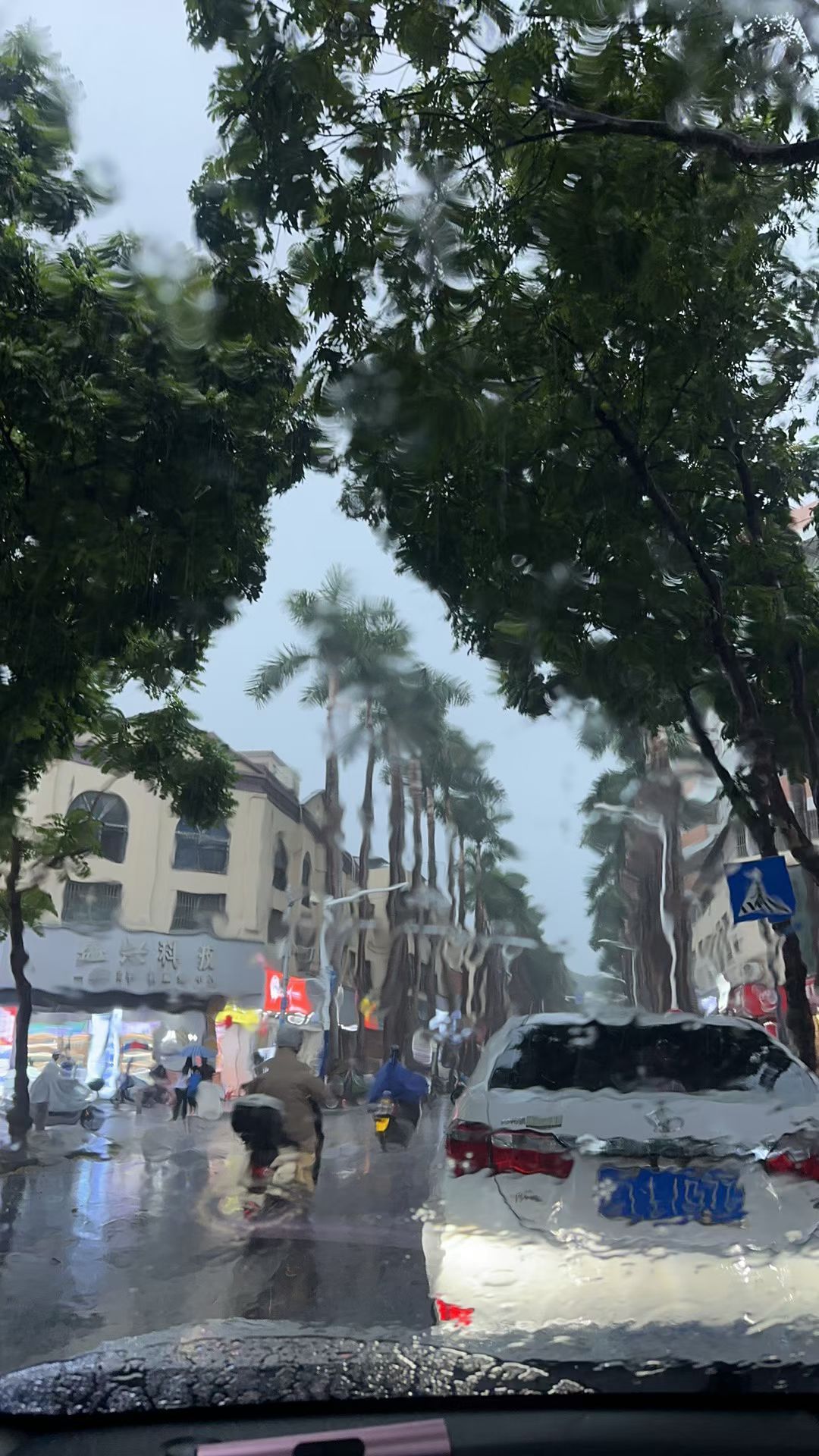 今天的雨说下就下 ​​​