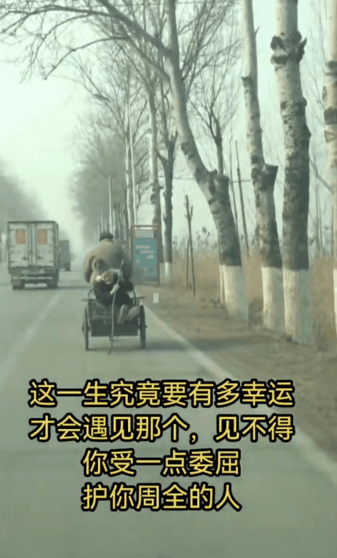 这大概就是爱情最动人的模样吧!一路扶持，护你周全，这样的相伴太让人羡慕了，愿所有