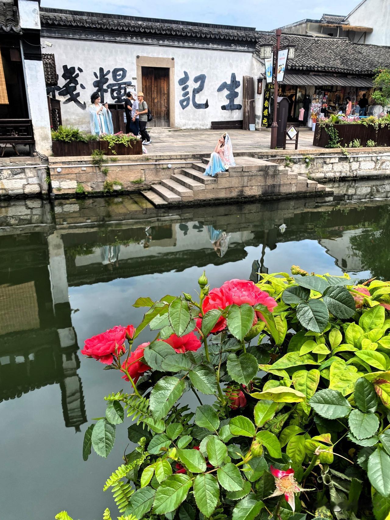 每一次都会有惊喜，发现很多老街新变化，这一次发现很多卖花姑娘和卖花郎，花朵五彩缤