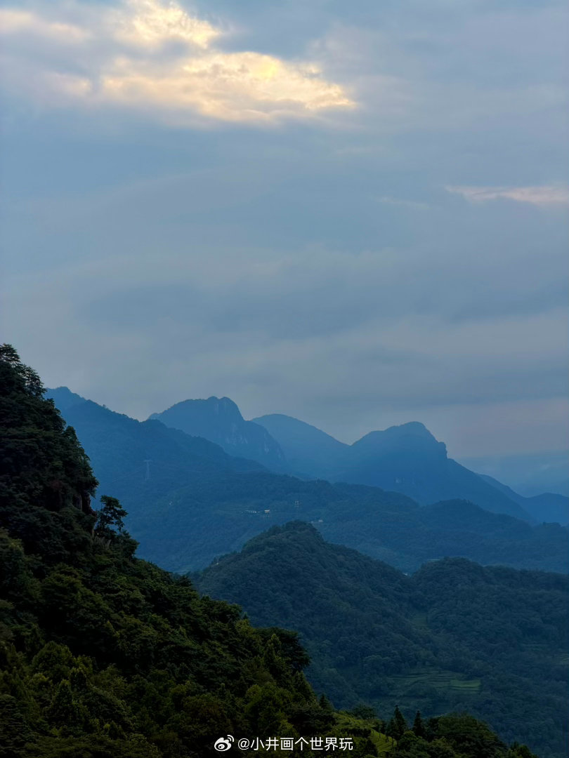 盛夏，奔跑进凉爽的山里…☁️盛夏茶山宜昌宜昌·五峰青岗岭
