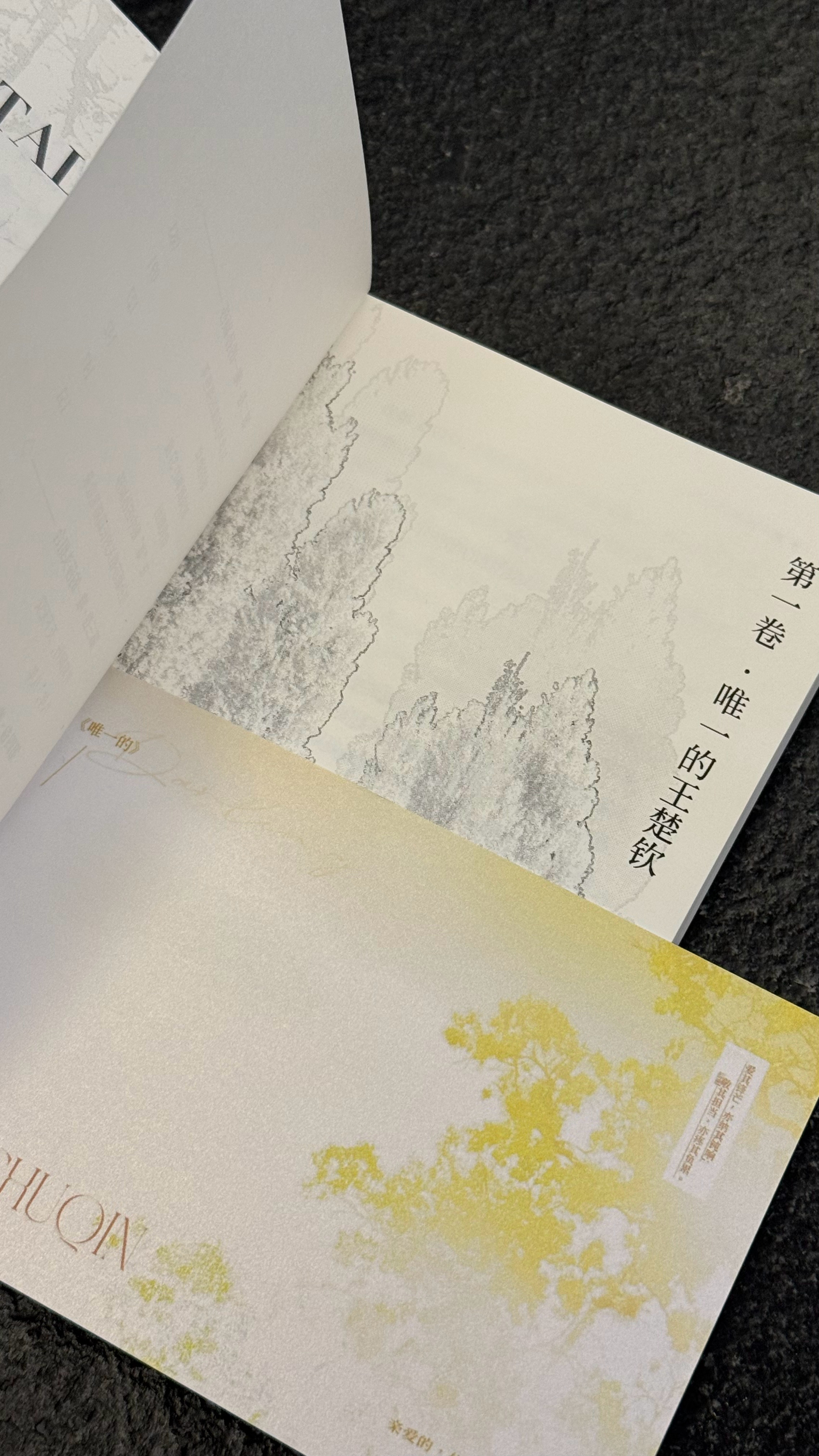 收到了朋友写的关于莎莎头头的一本书，还没开始阅读，却在翻开目录的时候已经有点想哭