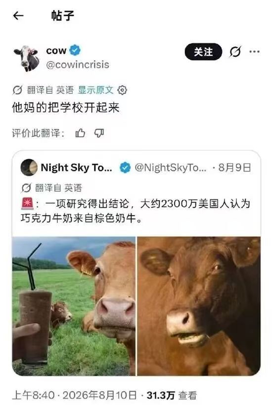 哈哈 ​​​