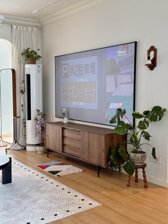 中古小家的电视柜，高颜值还好能装