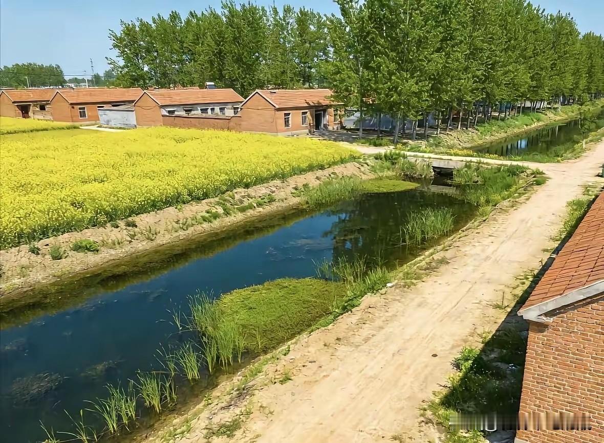 我们真的是喜欢农村吗，不是的，我们不喜欢，我们是喜欢农村的样子，感觉，风景，而不