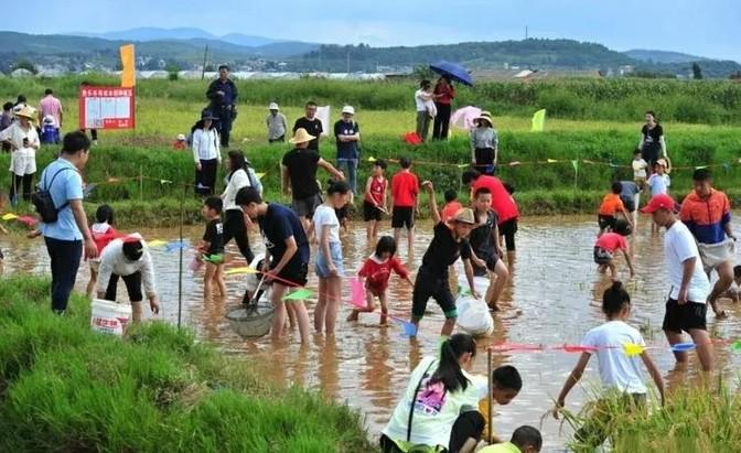 大爷55岁，鱼塘满鱼卖不出，市场不给力，愁白了头。25岁小年轻一来，一招“浑水摸