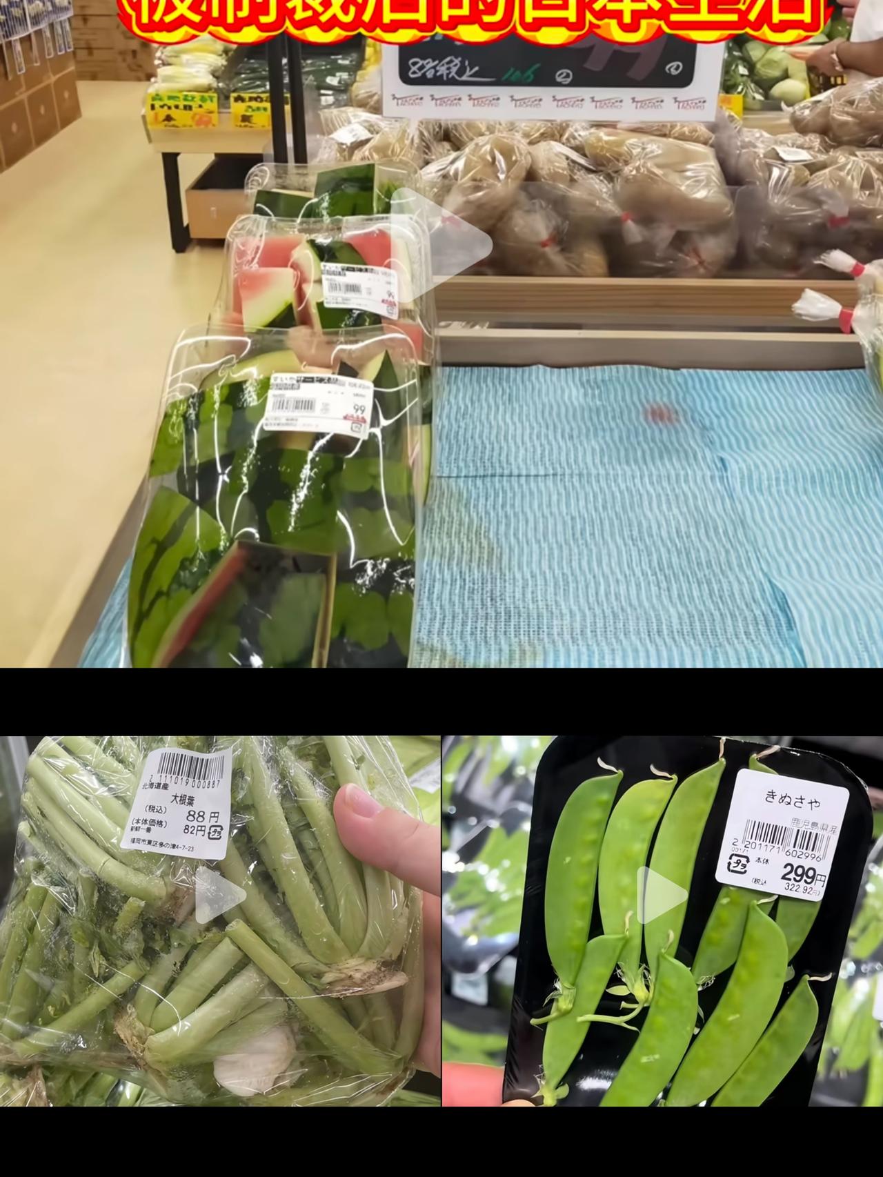 日本没有厨余垃圾，原来是被吃光了，西瓜皮和菜根都有人买，甚至连青瓜的皮和玉米须都