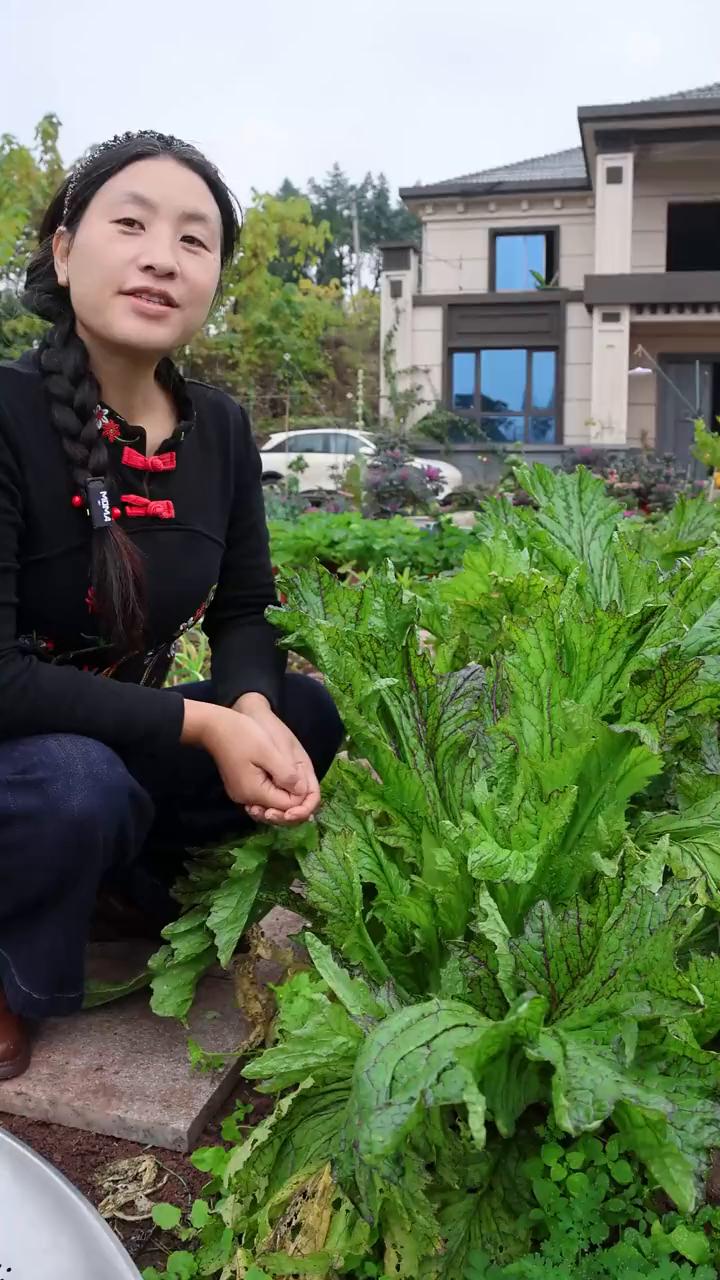 今天来摘一个很奇特的蔬菜。看一下这个包包好肥壮，炸了，可脆了。主要是吃它，叶柄炒